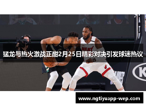 猛龙与热火激战正酣2月25日精彩对决引发球迷热议